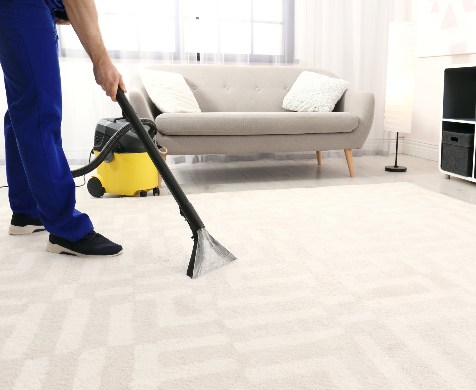 Professional Carpet Cleaning