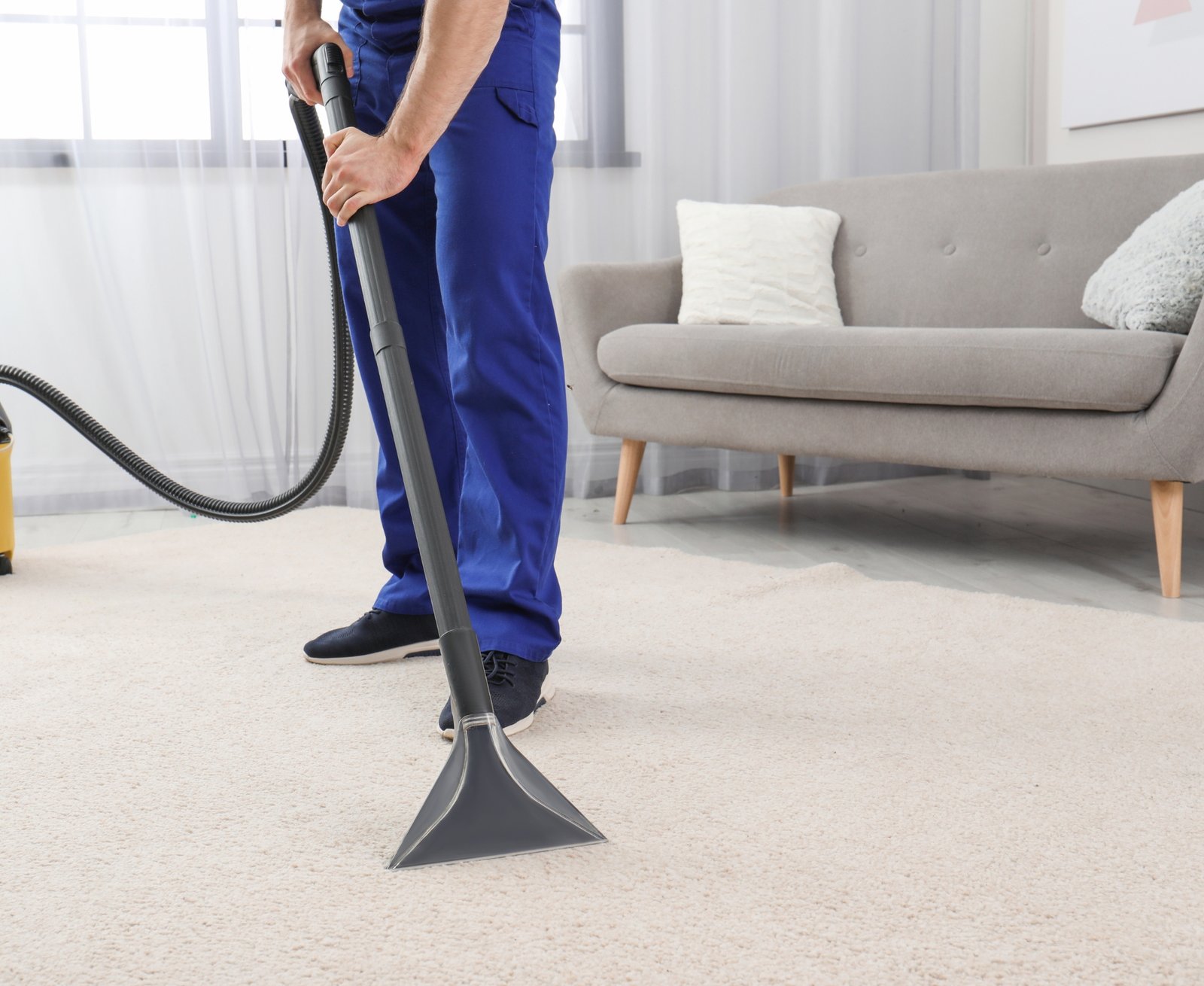 Professional Carpet Cleaning